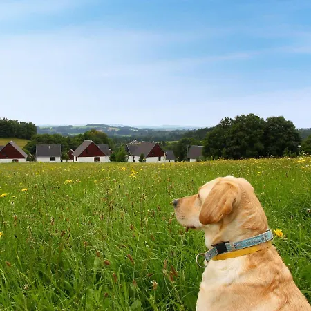 Holiday home Holiday Happy Hill Cerny Dul